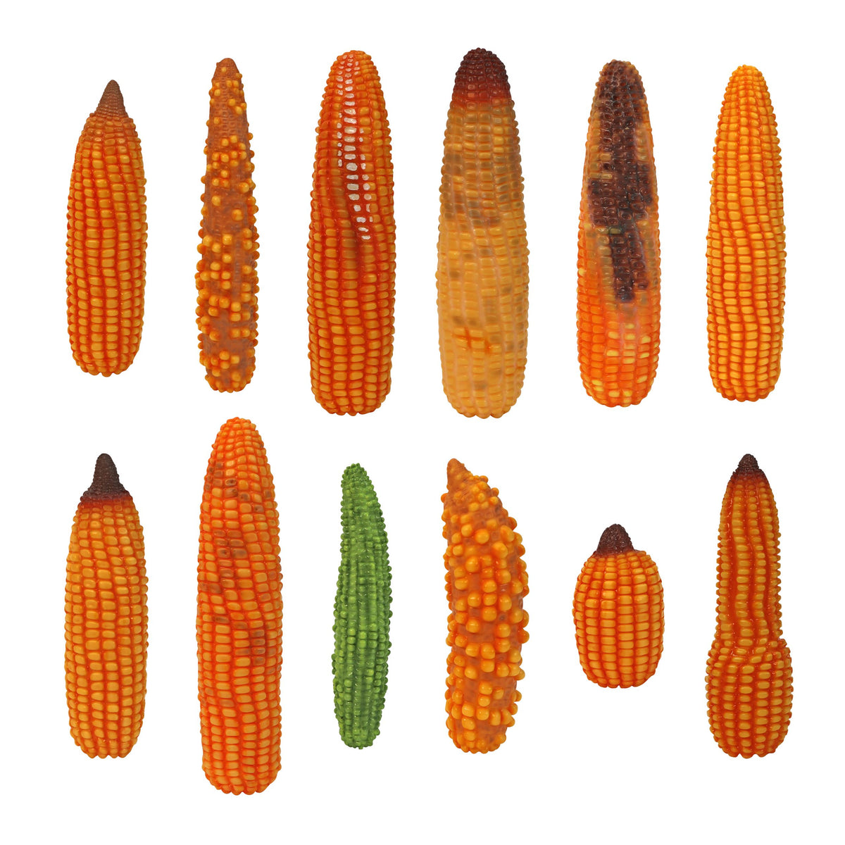 Abnormal Corn Ear Models