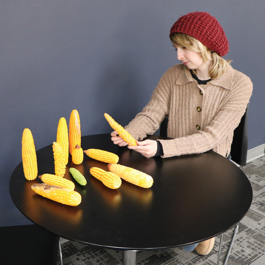 Abnormal Corn Ear Models