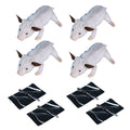Swine Litter Processing Simulators