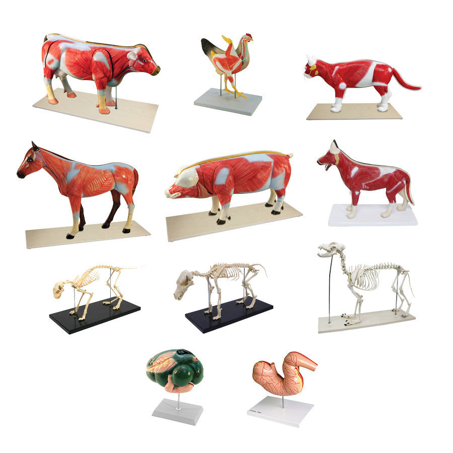 Animal Systems Package