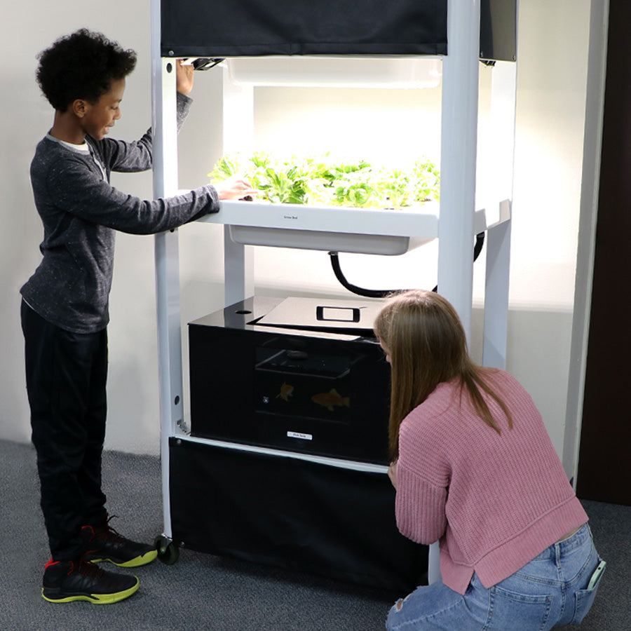 Educational Aquaponics System