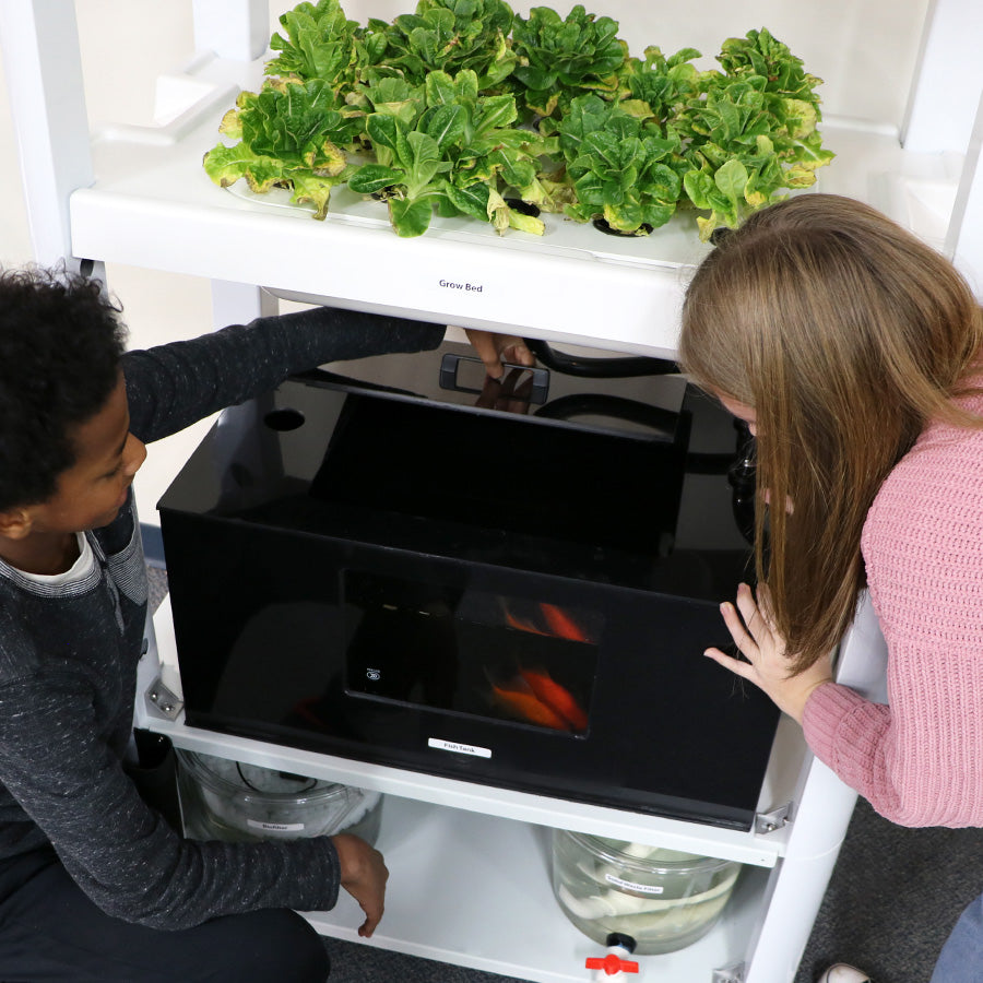 Educational Aquaponics System