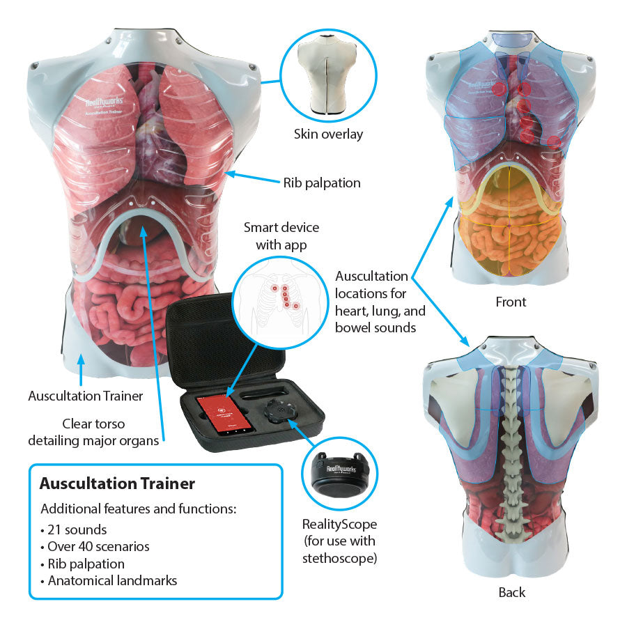 Auscultation Trainer