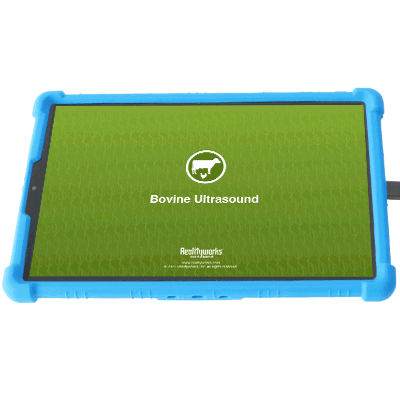Bovine Birthing and Ultrasound Simulator
