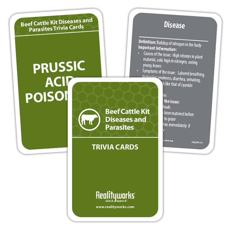 Beef Cattle Kit