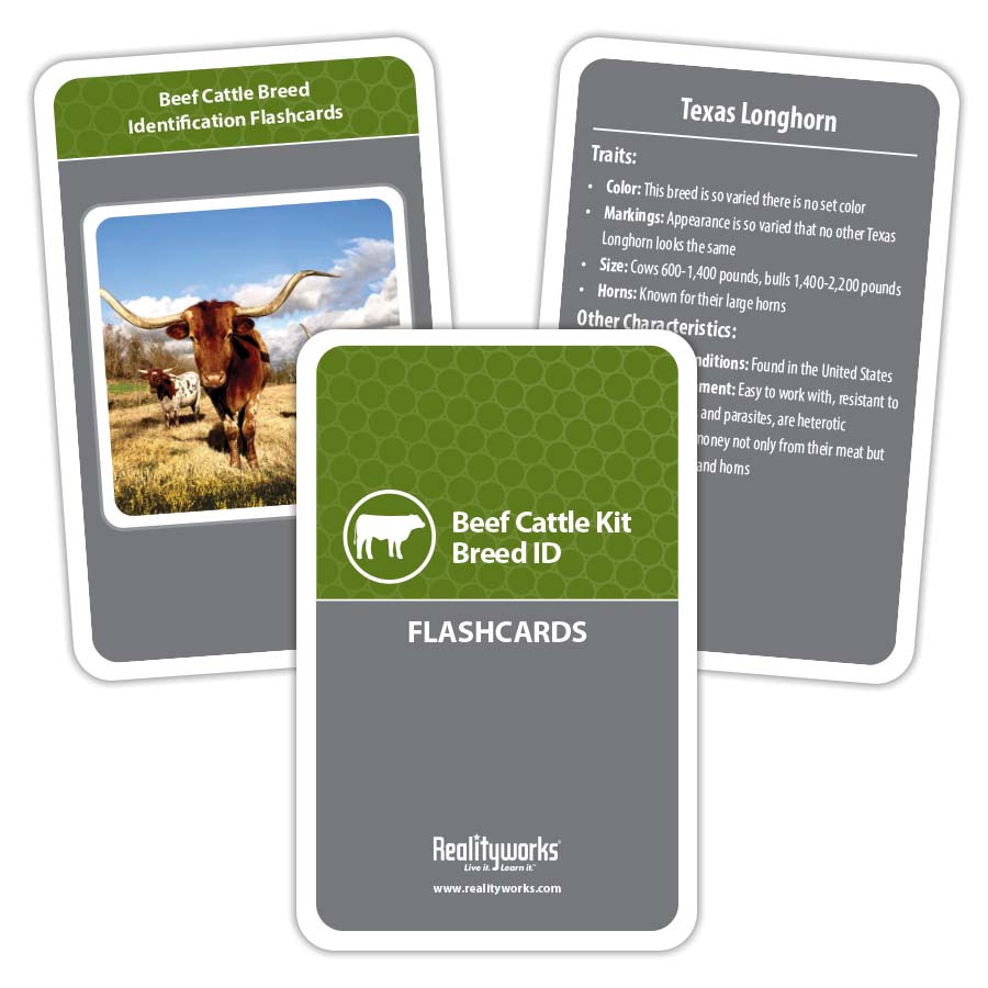 Beef Cattle Kit