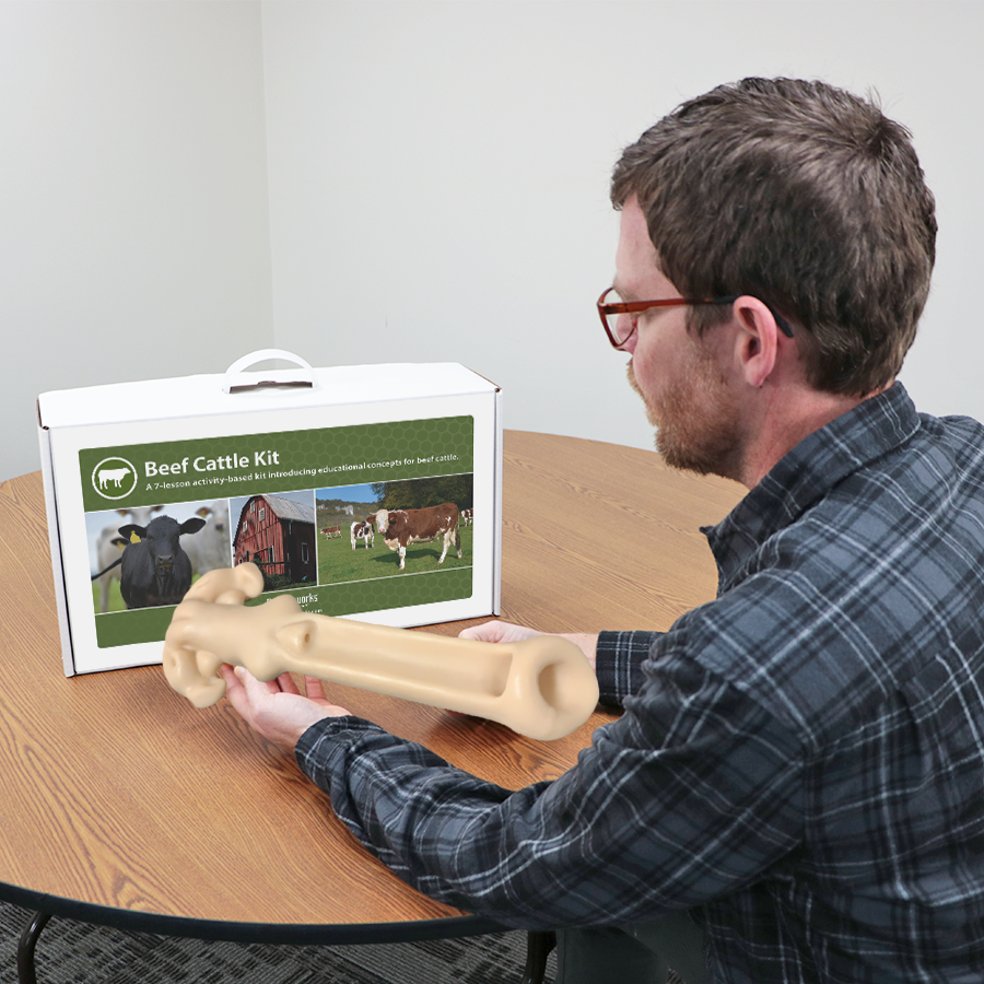 Beef Cattle Kit