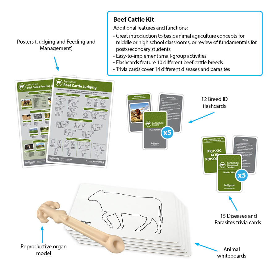 Beef Cattle Kit
