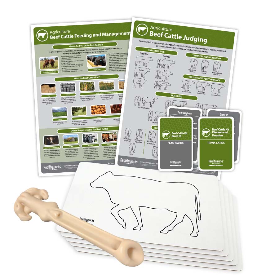 Beef Cattle Kit
