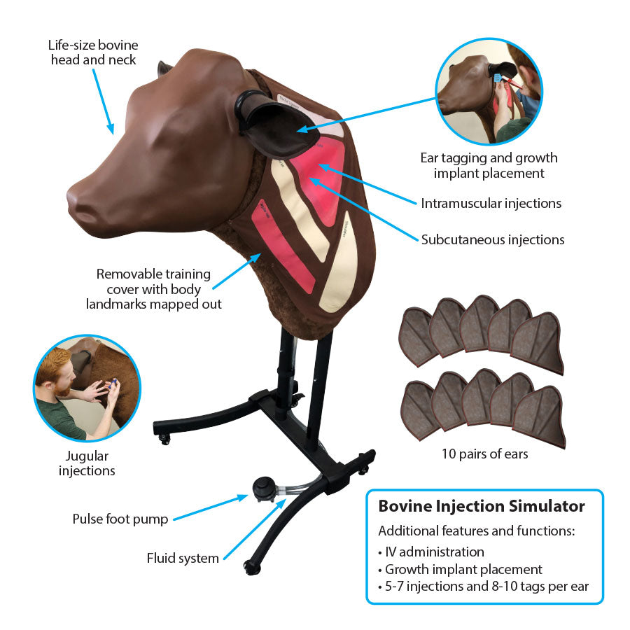 Bovine Injection Simulator