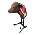 Bovine Injection Simulator