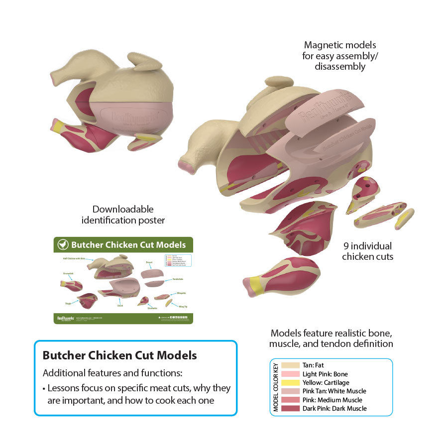 Butcher Chicken Cut Models