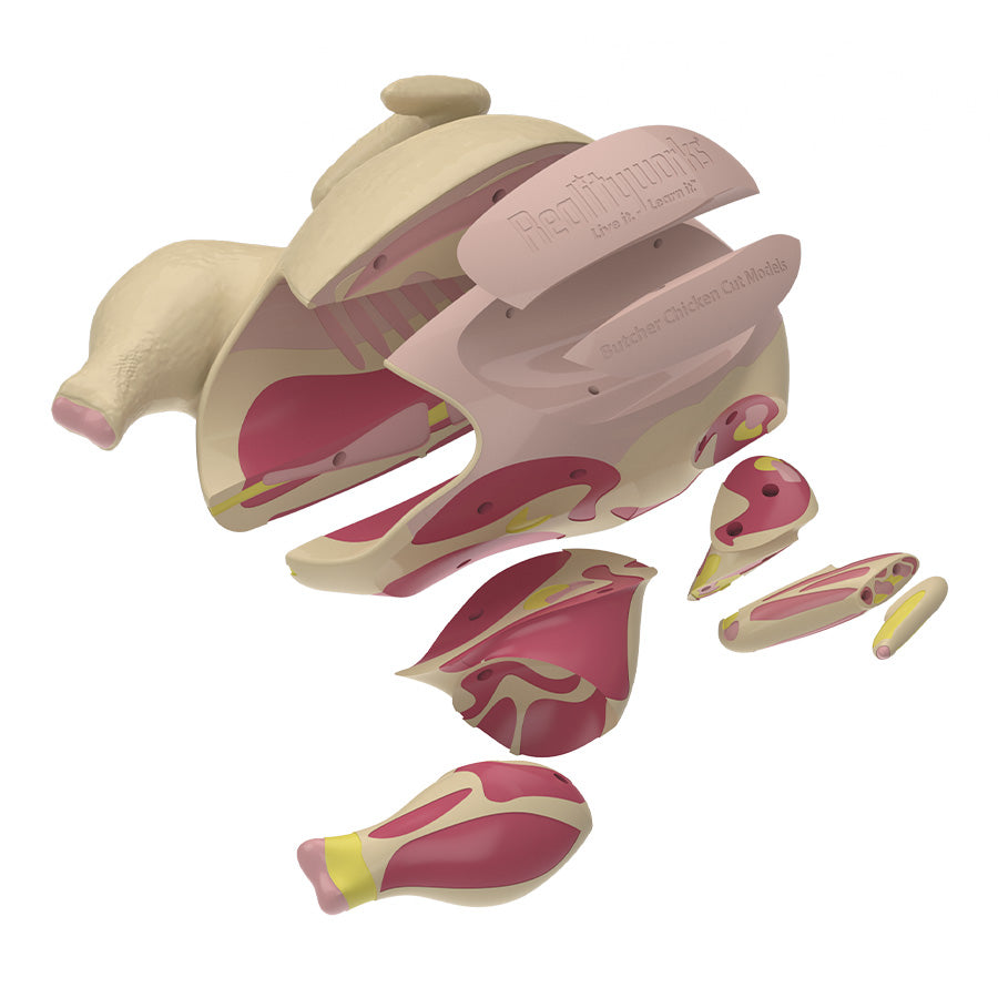 Butcher Chicken Cut Models
