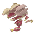Butcher Chicken Cut Models
