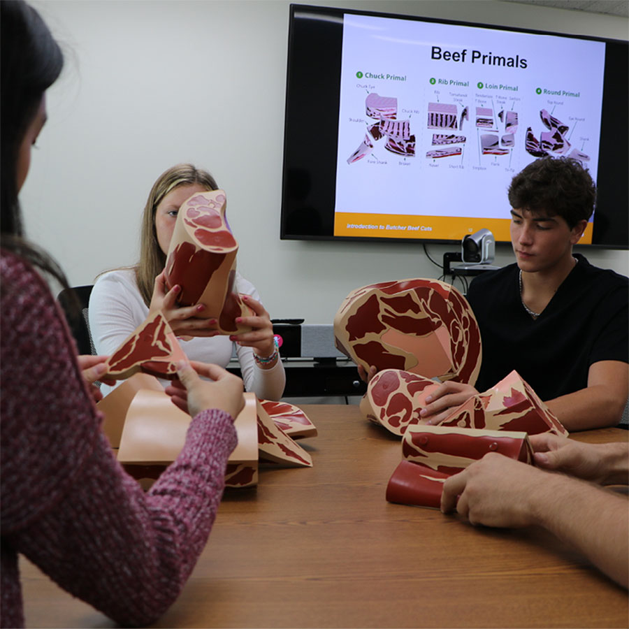 Butcher Beef Cut Models