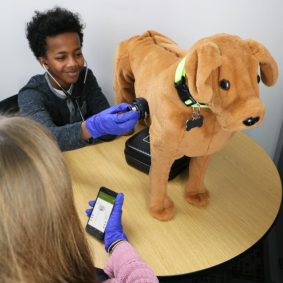 Canine Auscultation Trainer