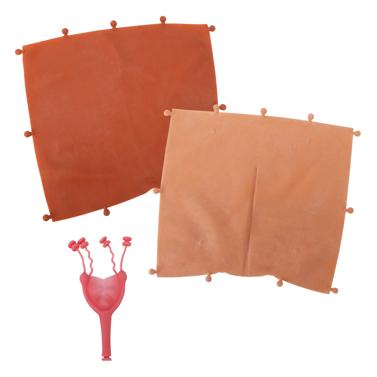 Canine Spay Simulation Replacement Kit
