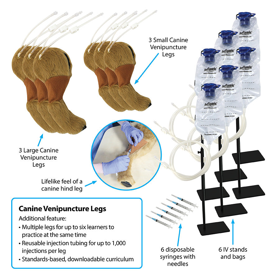 Canine Venipuncture Legs