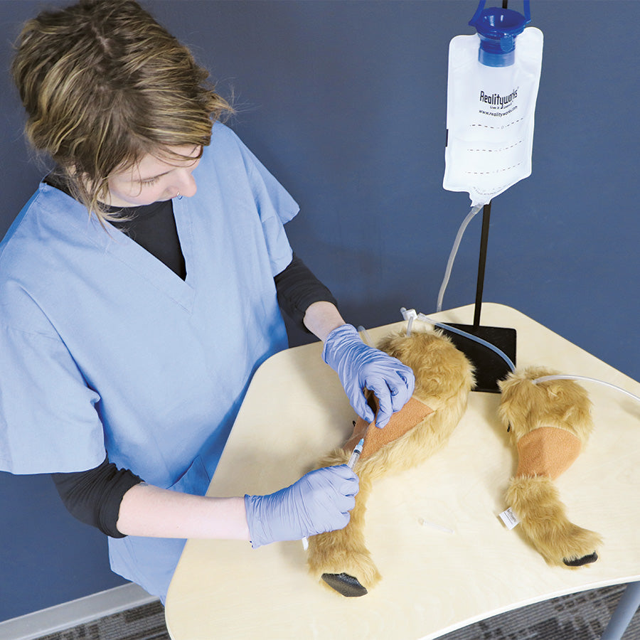 Canine Venipuncture Legs