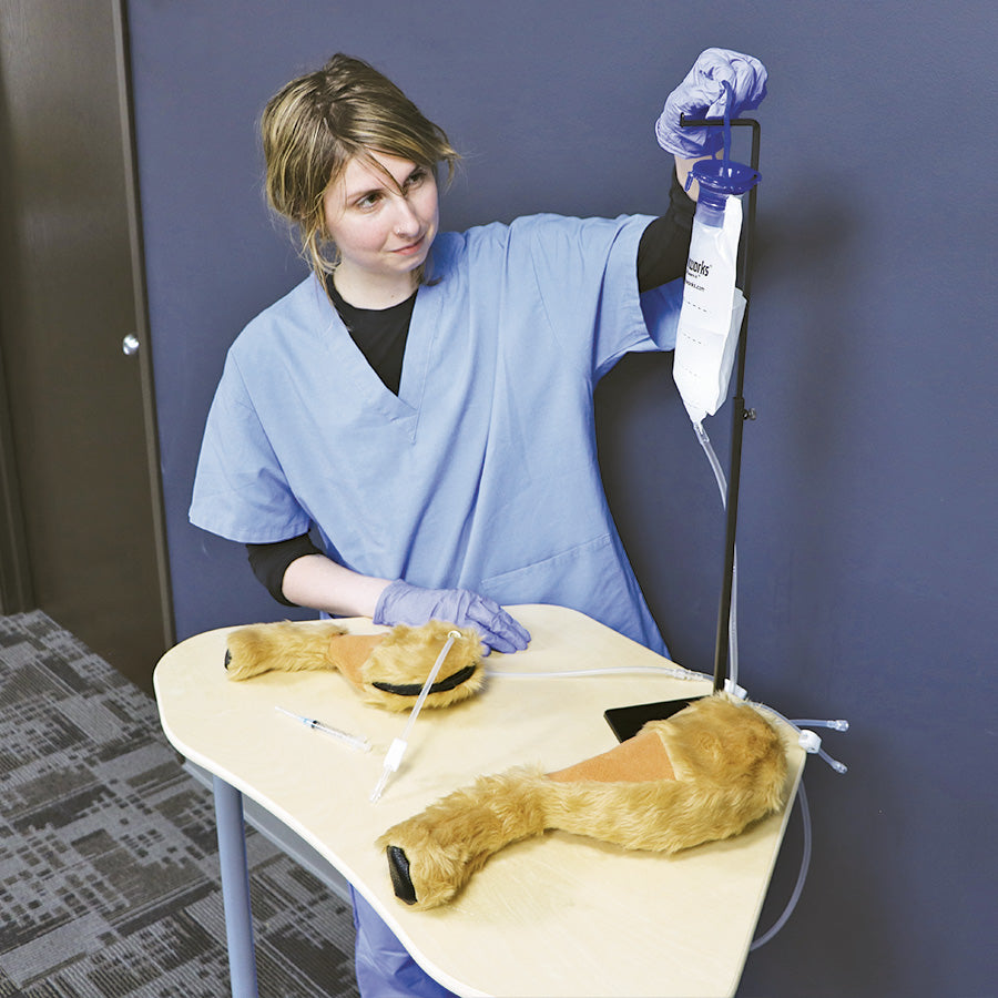 Canine Venipuncture Legs