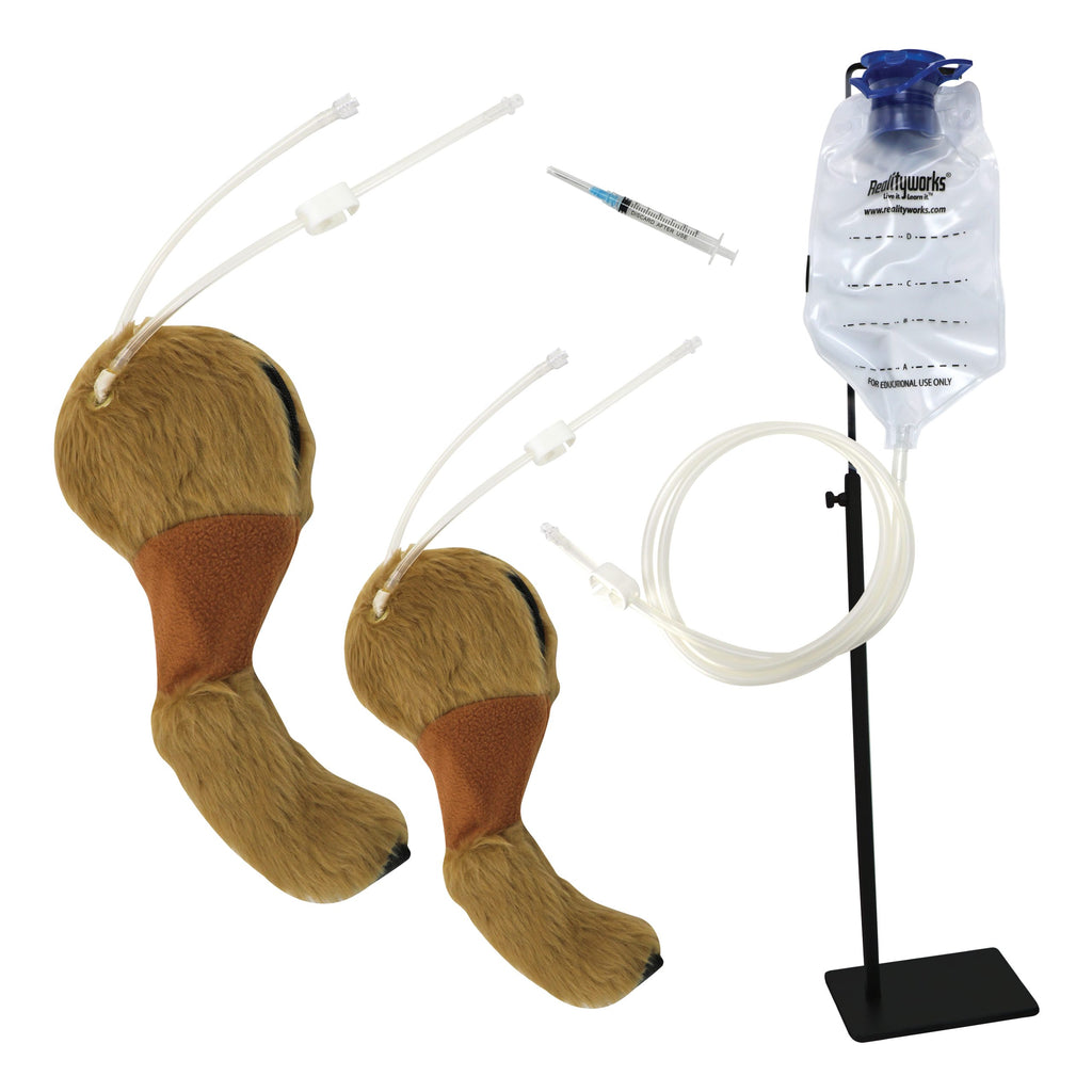 Canine Venipuncture Legs