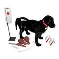 Canine Vet Trainer