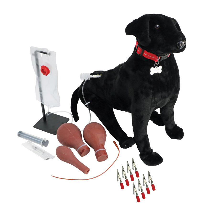 Canine Vet Trainer