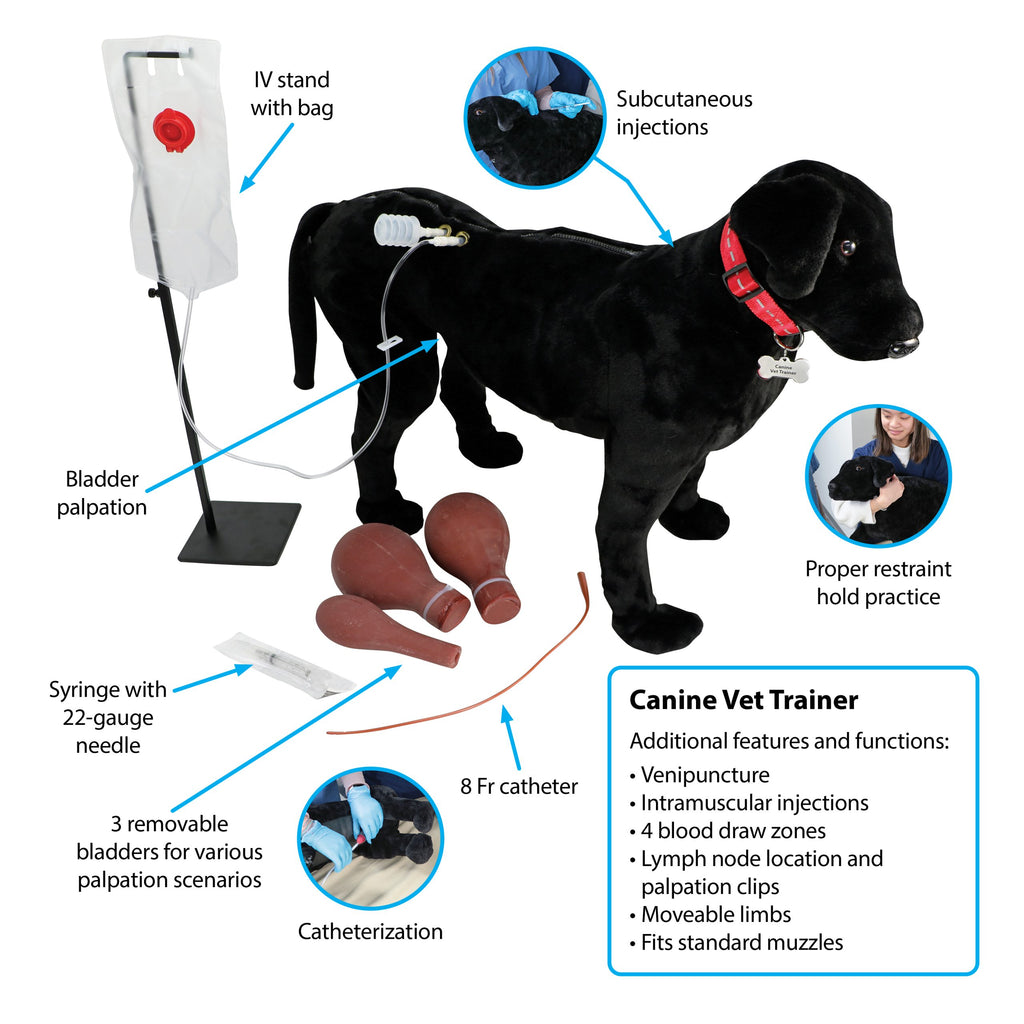 Canine Vet Trainer