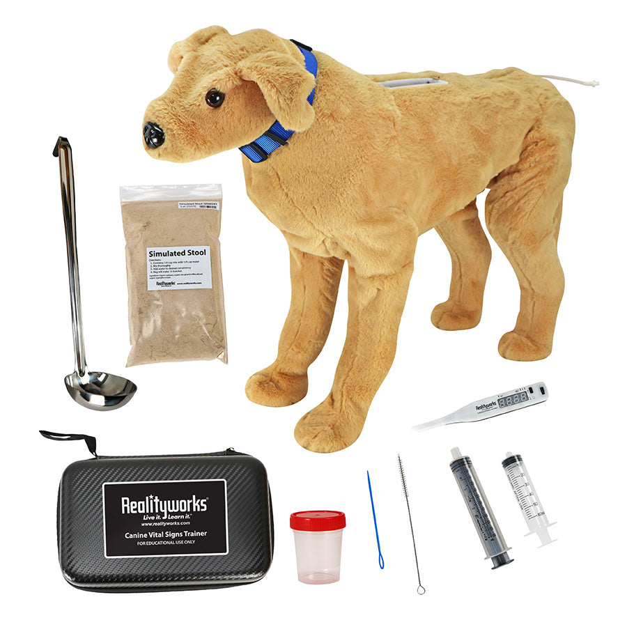 Canine Vital Signs Trainer