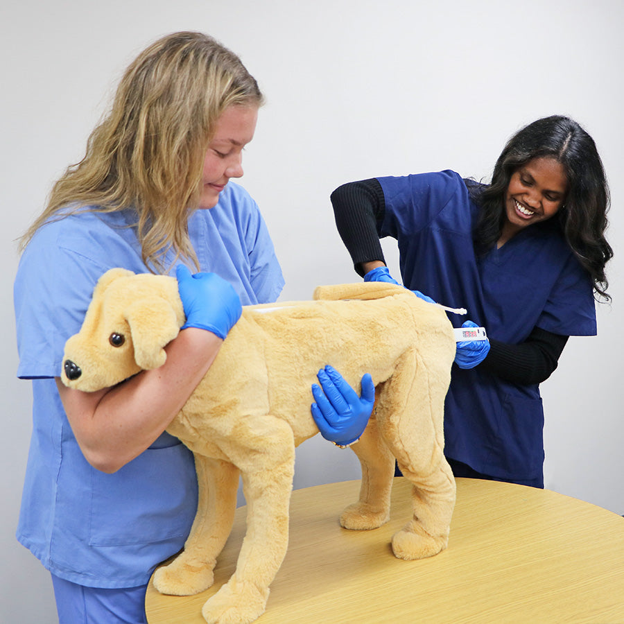 Canine Vital Signs Trainer