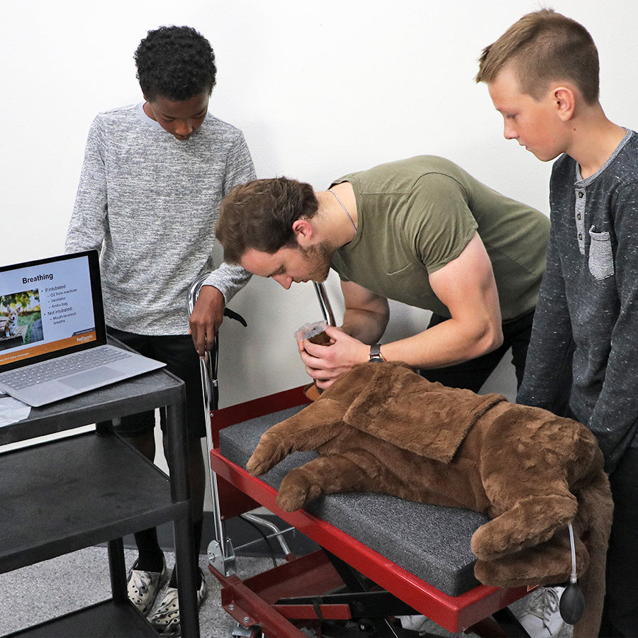 Canine CPR Trainer