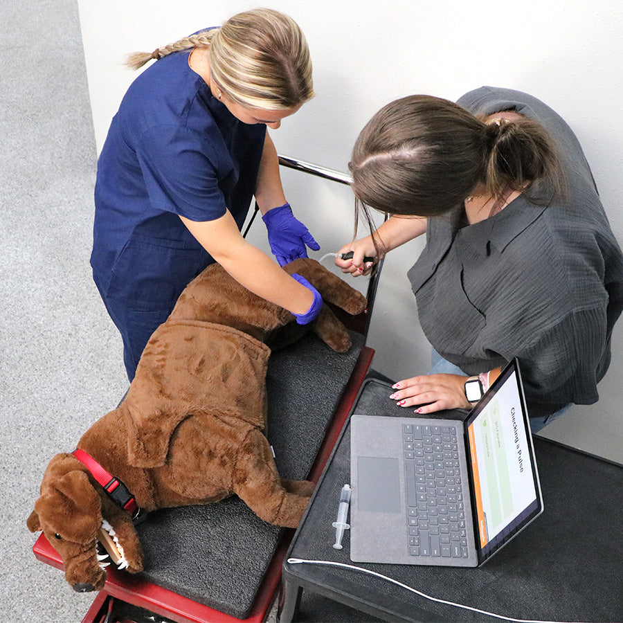Canine CPR Trainer