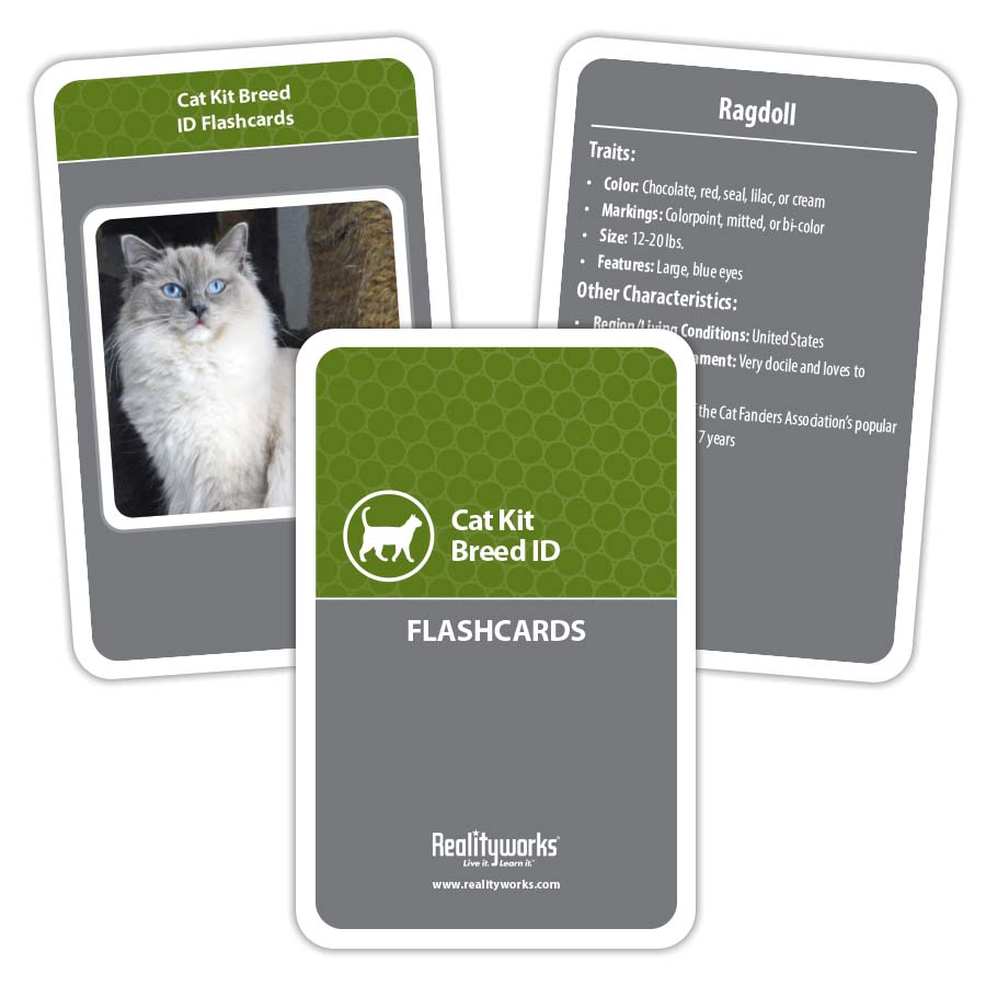 Cat Kit