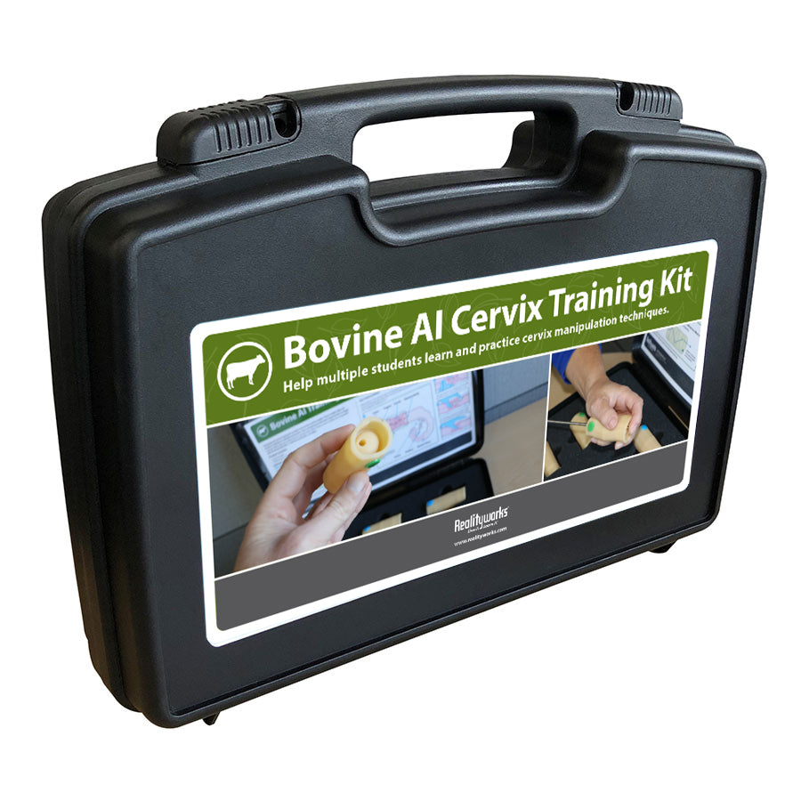 Bovine AI Cervix Training Kit