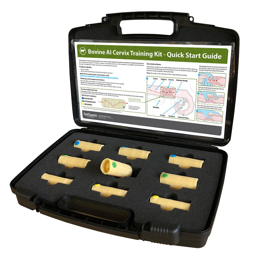 Bovine AI Cervix Training Kit