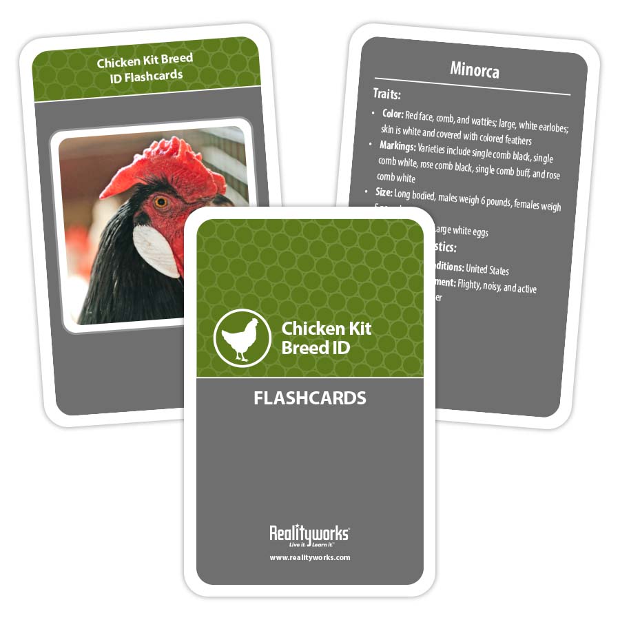 Chicken Kit