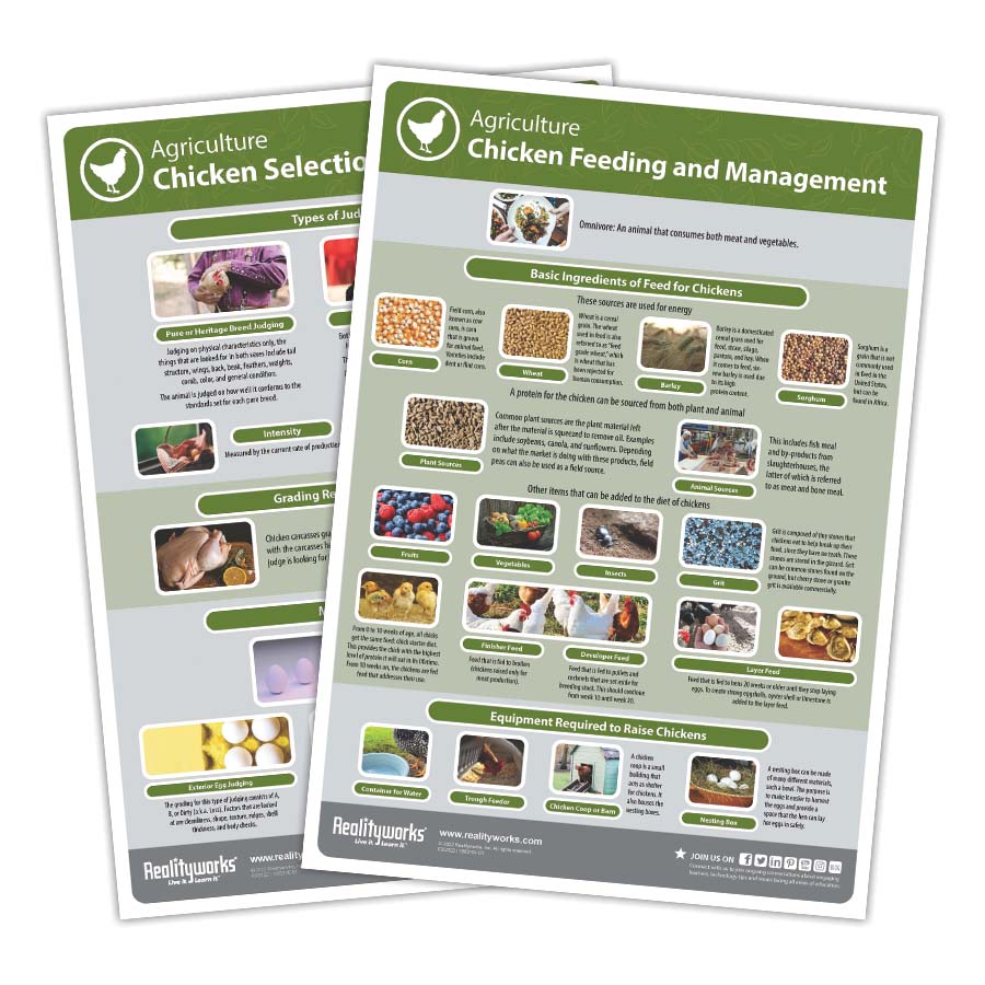 Chicken Kit