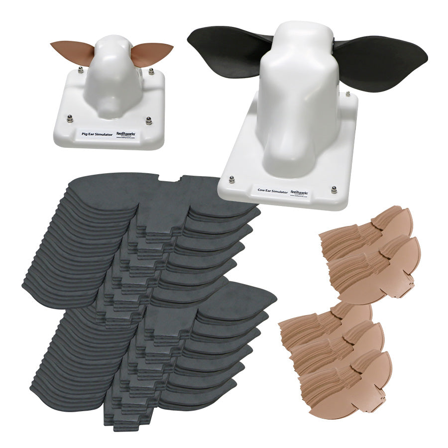 Cow and Pig Ear Simulation