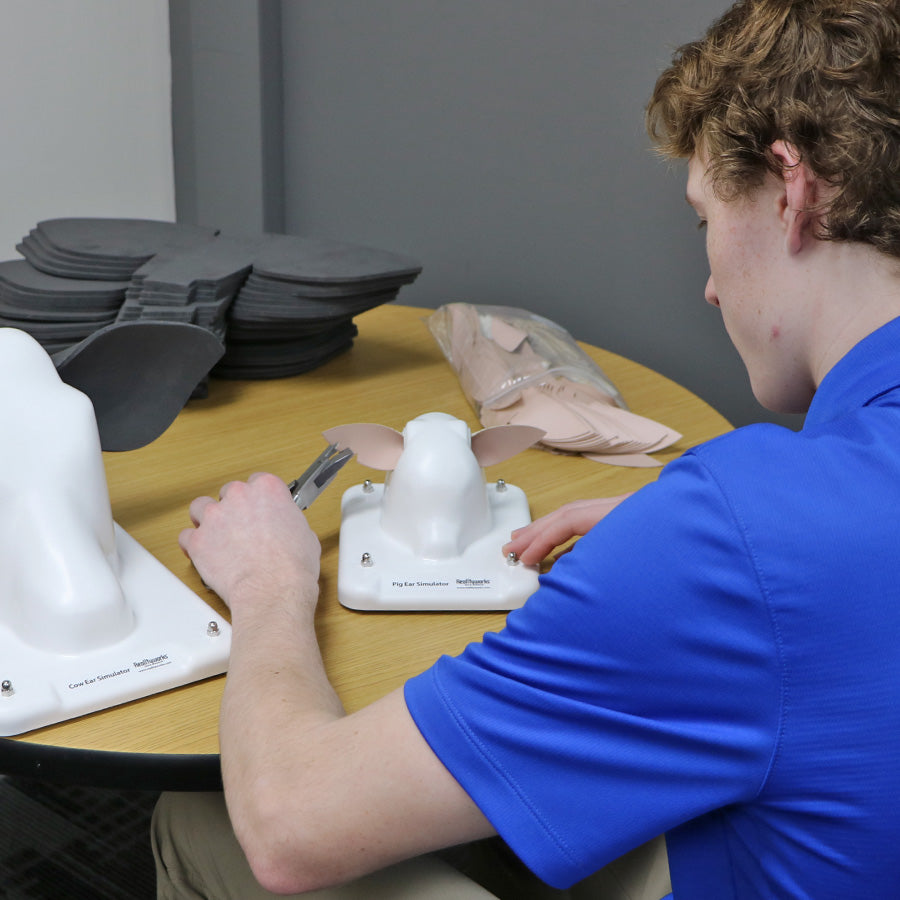 Cow and Pig Ear Simulation