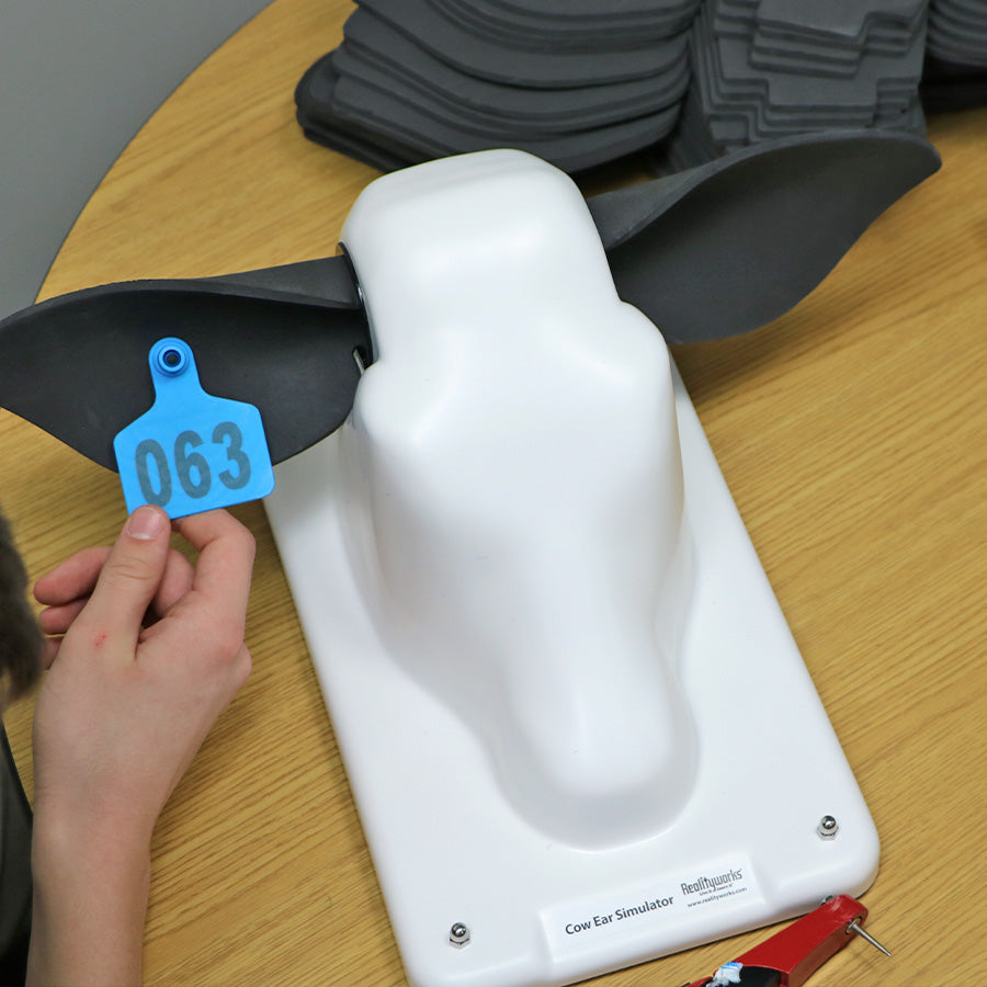 Cow and Pig Ear Simulation