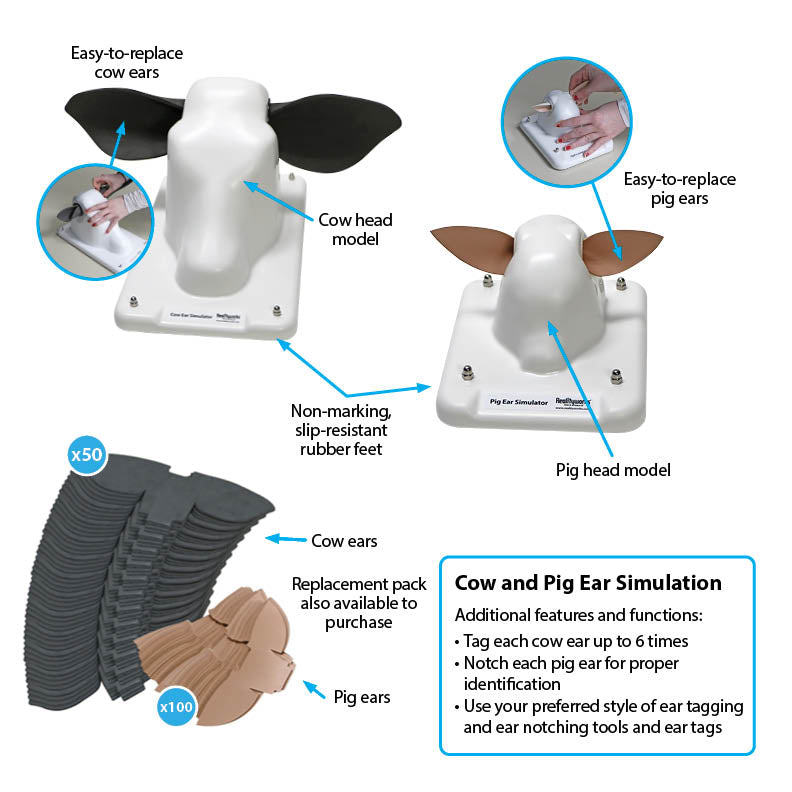 Cow and Pig Ear Simulation