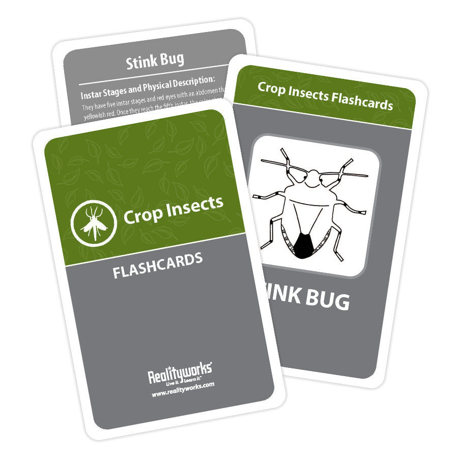 Crop Insects Kit
