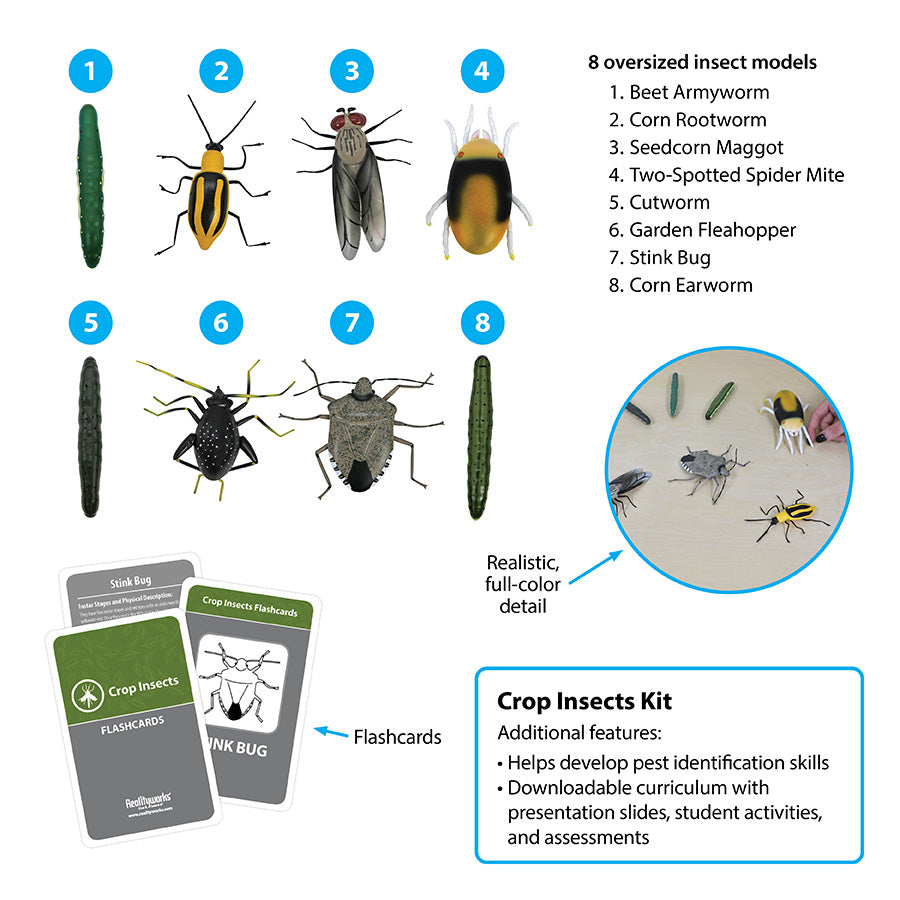 Crop Insects Kit