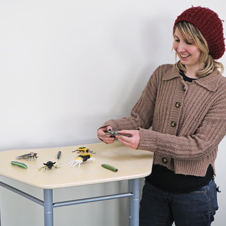 Crop Insects Kit