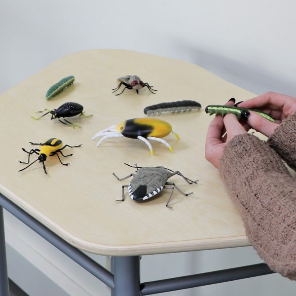 Crop Insects Kit