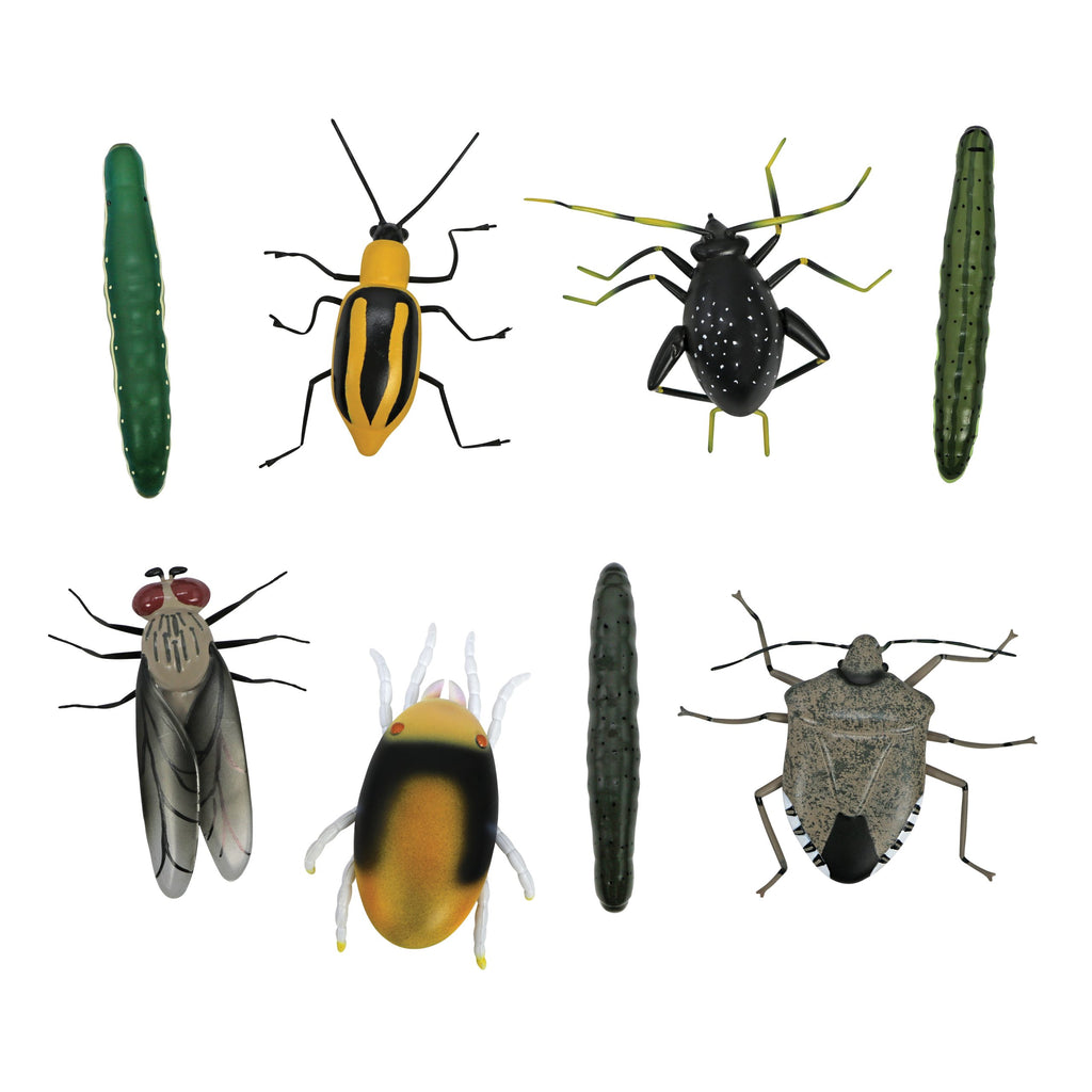 Crop Insects Kit