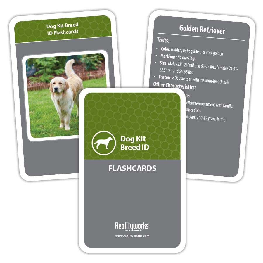 Dog Kit