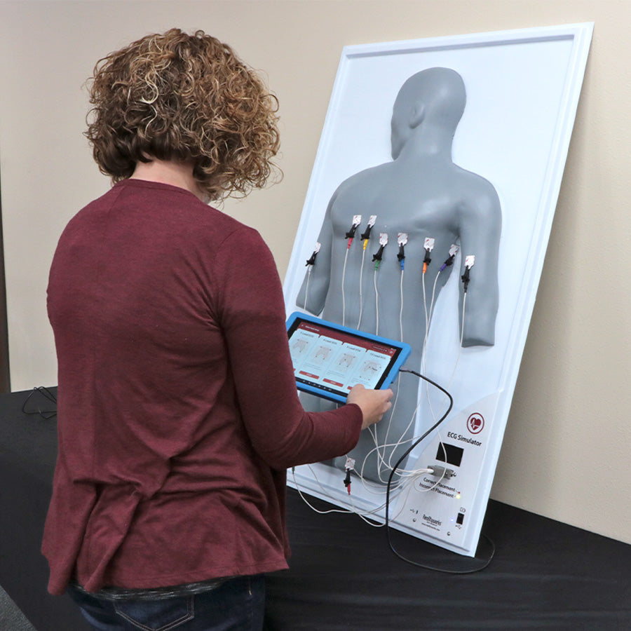 ECG Simulator