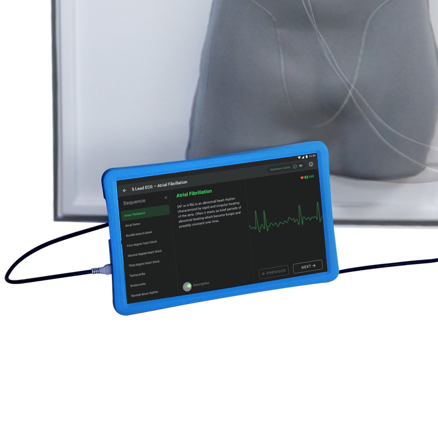 ECG Simulator