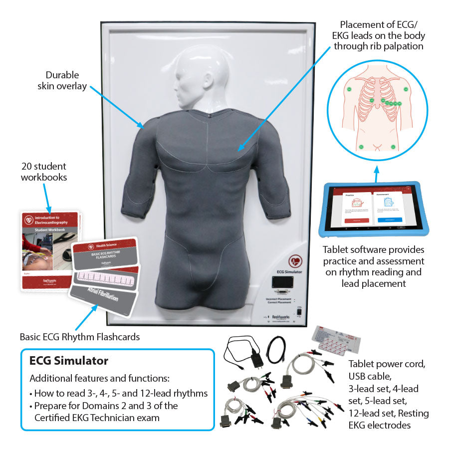 ECG Simulator